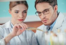 Photo of Исследование рыночной среды