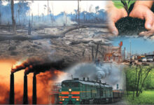 Photo of Анализ воздействия природных катастроф на бизнес