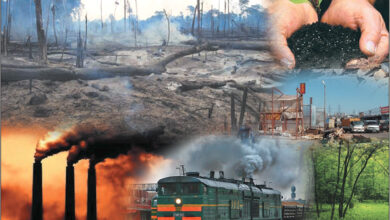 Photo of Анализ воздействия природных катастроф на бизнес