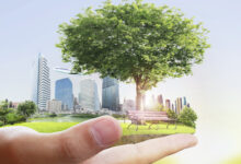 Photo of Анализ влияния экологических факторов на бизнес