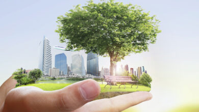 Photo of Анализ влияния экологических факторов на бизнес